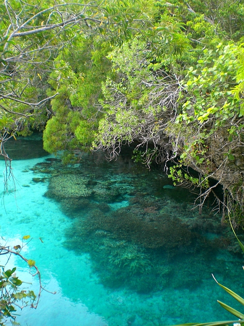 03. Aquarium naturel